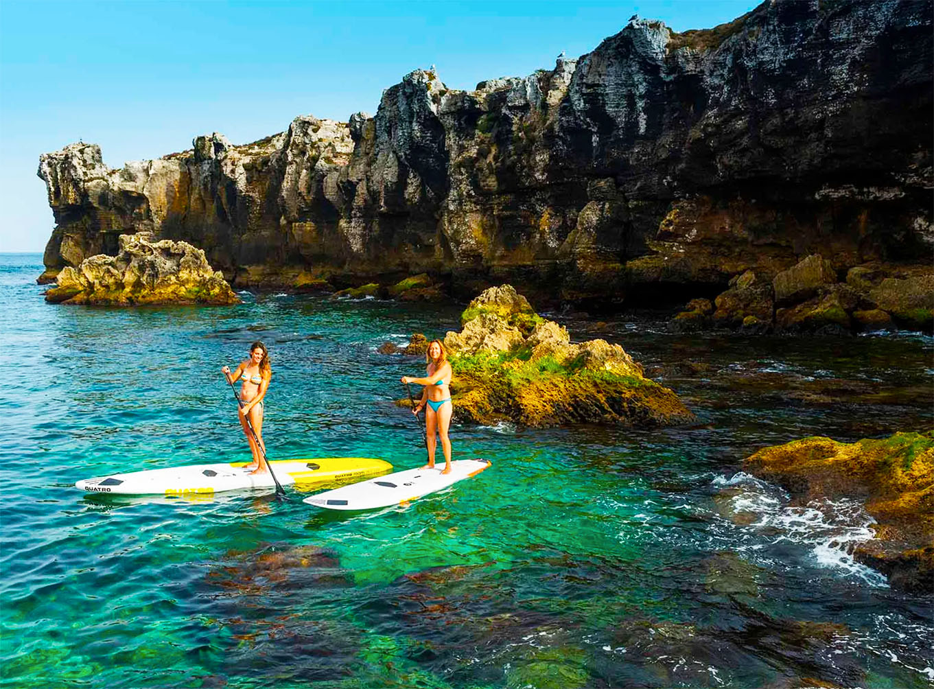 Paddle Surf  — Dare!!